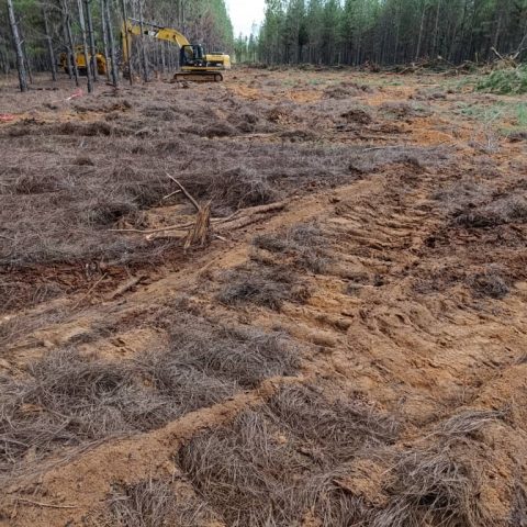 OBRAS CIVILES Y ELECTRICIDAD EN PRIMERA FASE DE MACOLLA PI D03 (M4)